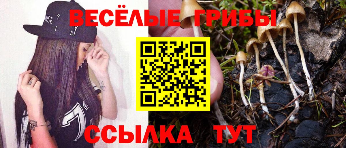 Самара  Псилоцибиновые грибы прущие грибы  Галлюциногенные грибы мицелий  Вход с VPN 
