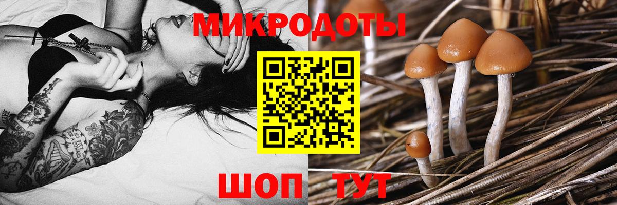 Галлюциногенные грибы ЛСД Самара
